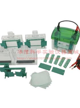 LF-Mini4型小型垂直电泳槽四板P4