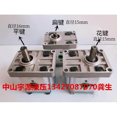 高压齿轮泵CBN-F304 CBN-F306 CBN-F310 CBN-F314 CBN-F316 右 左