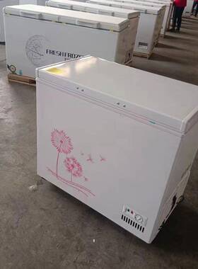 大容量卧式冰柜 商用保鲜冷藏冷冻双温冷柜 速冻雪糕柜展示柜