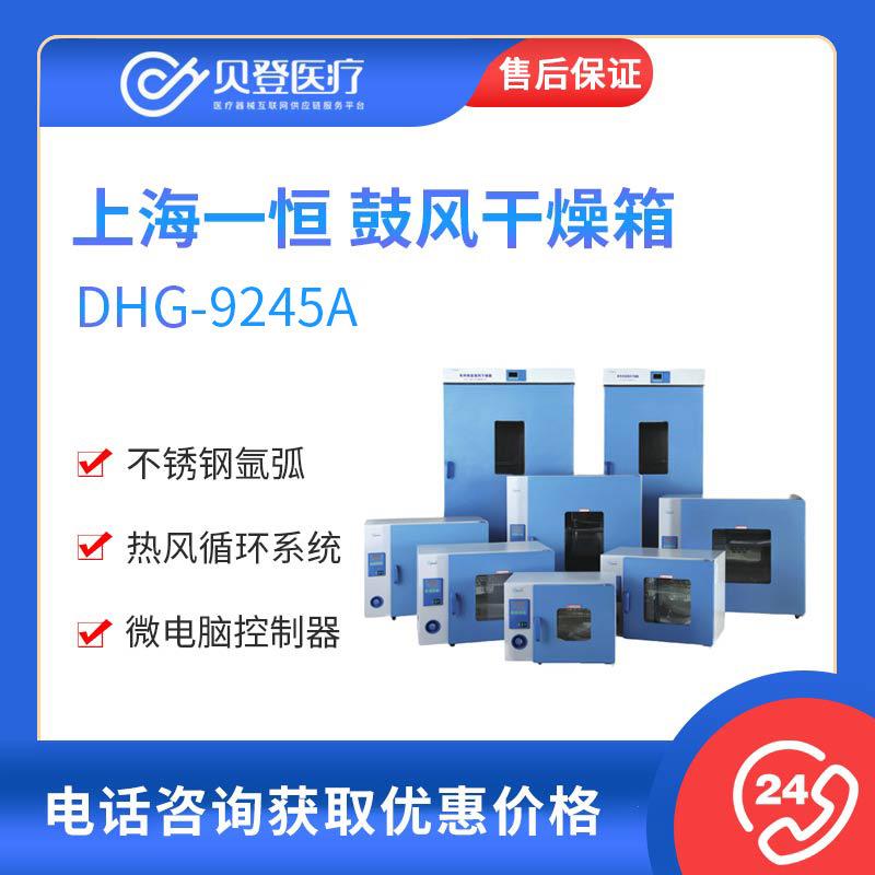 9000系列鼓风干燥箱（DHG-9245A）
