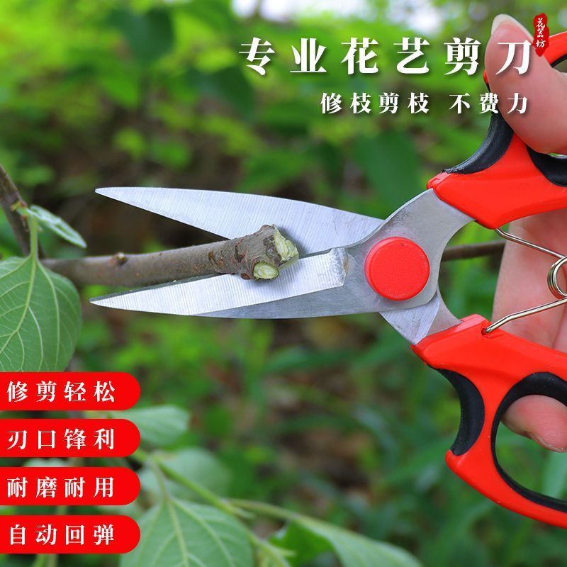 园艺剪修枝剪手工花艺剪子果树枝条剪修花卉剪刀专用工具修枝神器
