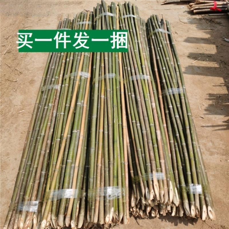 竹竿菜园搭架竹杆条米豆角黄瓜架子小竹子竹篱笆栅栏围栏架杆直销