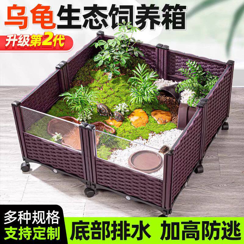 黄缘龟饲养箱安缘台缘闭壳龟苗造景植物生态环境乌龟缸养殖箱