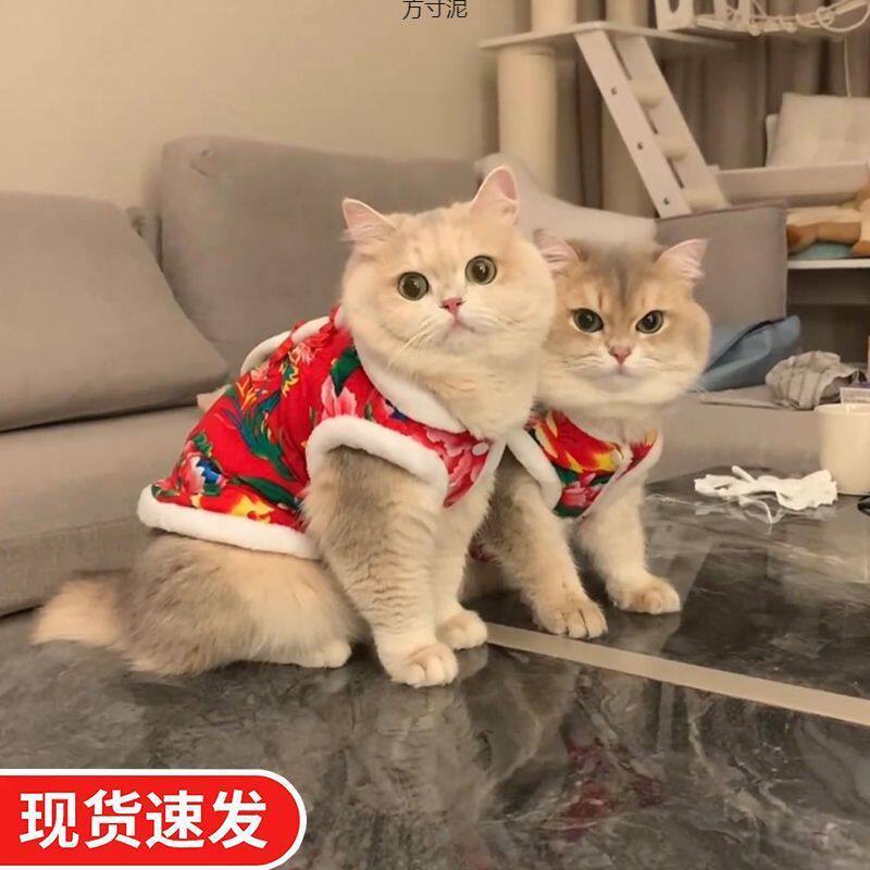 猫咪保暖衣服东北大花喜庆棉衣冬天小猫过年宠物狗狗拜年唐装