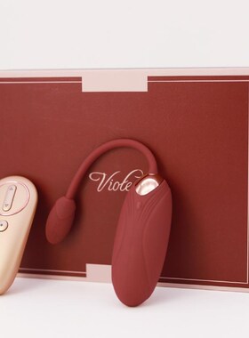 Rechargeable Wireless Vibrator Panties Sex Toys for Women