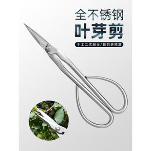 全不锈钢园艺剪叶芽剪嫩芽剪刀插花盆景枝叶剪修枝小枝剪加厚长杆