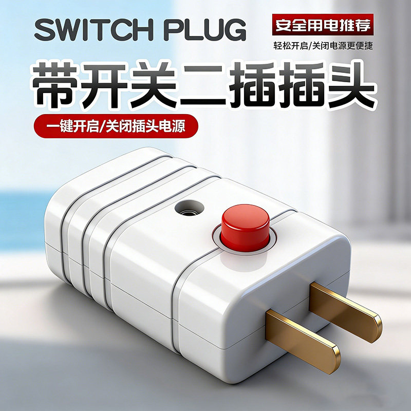 新款10A带开关二极插头二孔通用型插脚纯铜耐摔耐高温二脚插头