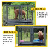 狗笼子中小型犬加粗宠物笼猫笼兔笼鸽子笼双层寄养三层狗笼子母笼
