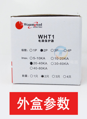 220V浪涌保护器 防雷器 避雷器 SPD电涌保护器2P 40KA 家用型 2路