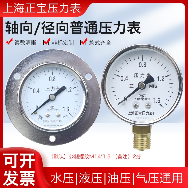 Y60ZT/轴向带边压力表 Y-60面板安装水压表气压表油压1MPA 1.6MPA