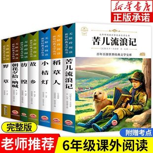 苦儿流浪记 原著正版完整版百年百部世界经典文学宝库无障碍阅读儿童文学名家名著必三四五六年级中小学生课外推荐阅读寒暑假书目