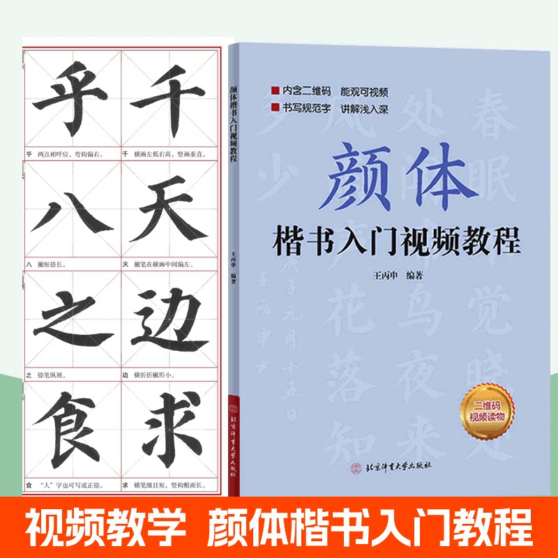 正版颜体楷书入门教程附视频教程讲解王丙申楷书规范教程颜真卿初学入门小学生成人自学入门临摹范本毛笔字帖结构书写规范