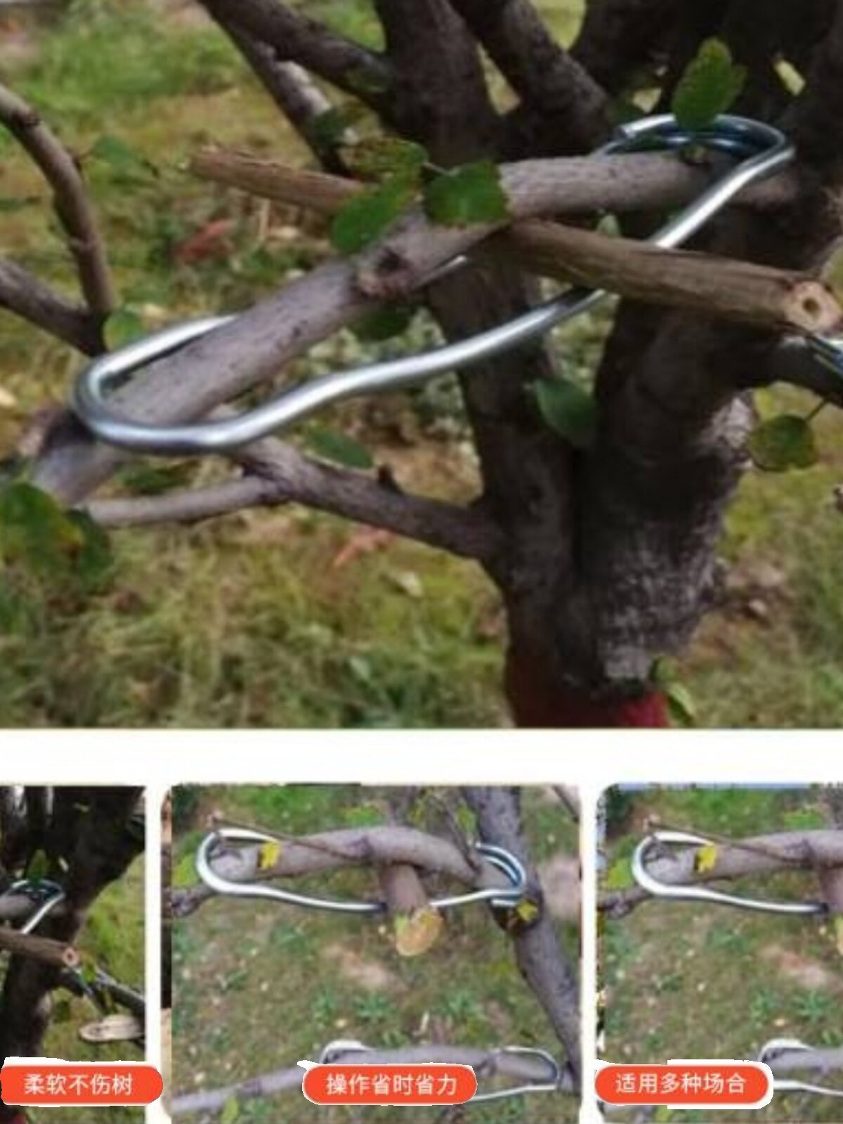 果树拉枝器 弹簧钢拉枝神器 弯枝 别 折枝 开角器 定型器 压枝器