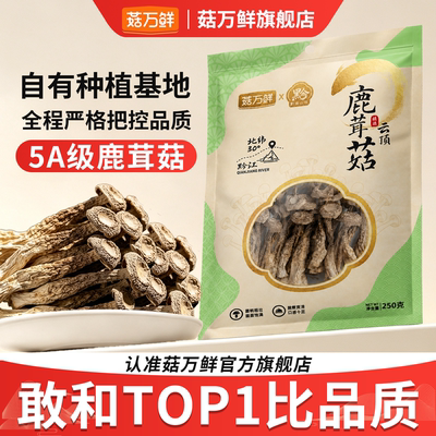 菇万鲜5A精品鹿茸菇干货脆脆菇