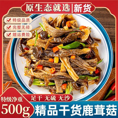 新鲜鹿茸菇正品干货无碎无沙煲汤