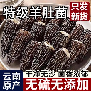 云南正宗野生羊肚菌干货正品官方旗舰店500g一级新鲜煲汤菌菇食材