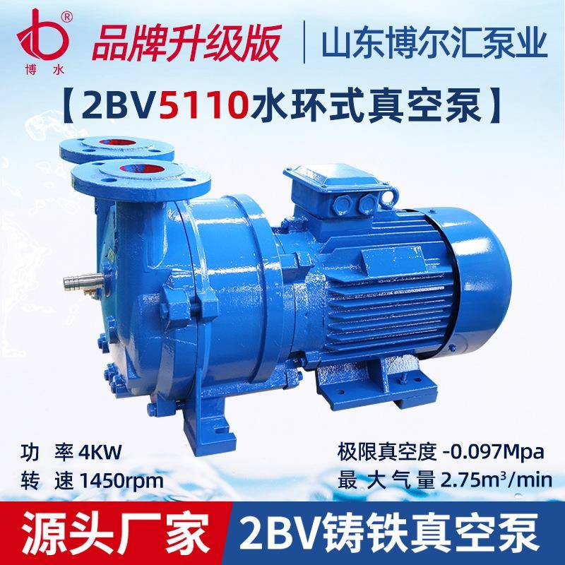 水环式真空泵无泄露2BV5110铸铁真空泵4kw抽气泵化工食品脱氧泵