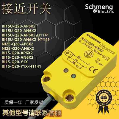 接近开关NI25/BI15U-Q20-AP6X2/AN/RN6X2-H1141 Y1X传感器
