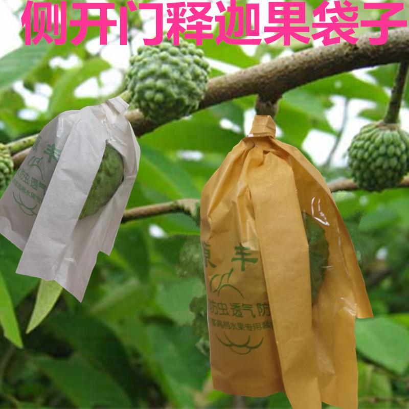 果袋套袋加厚释迦果专用袋林檎番鬼荔枝洋波罗番苞萝佛头水子防鸟