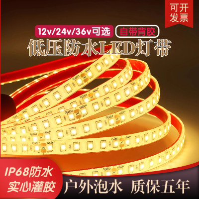 12v24v户外防水泡水低压LED灯带