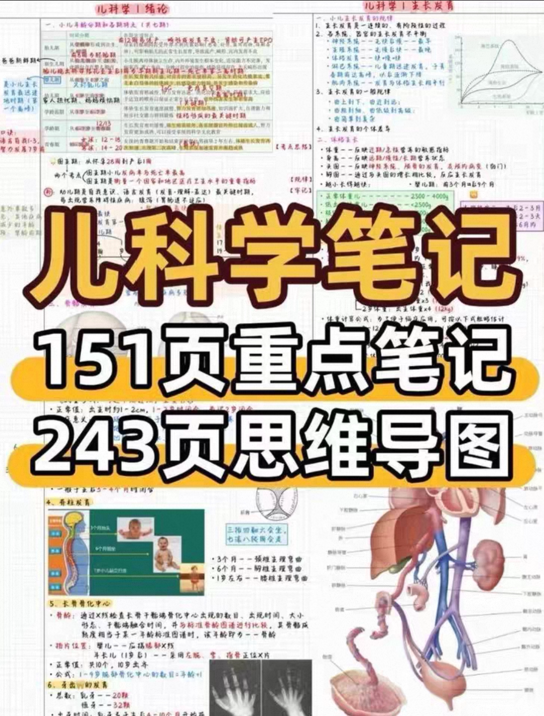 儿科详细笔记思维导图期末考试考研考执业规培考编笔记知识点考点