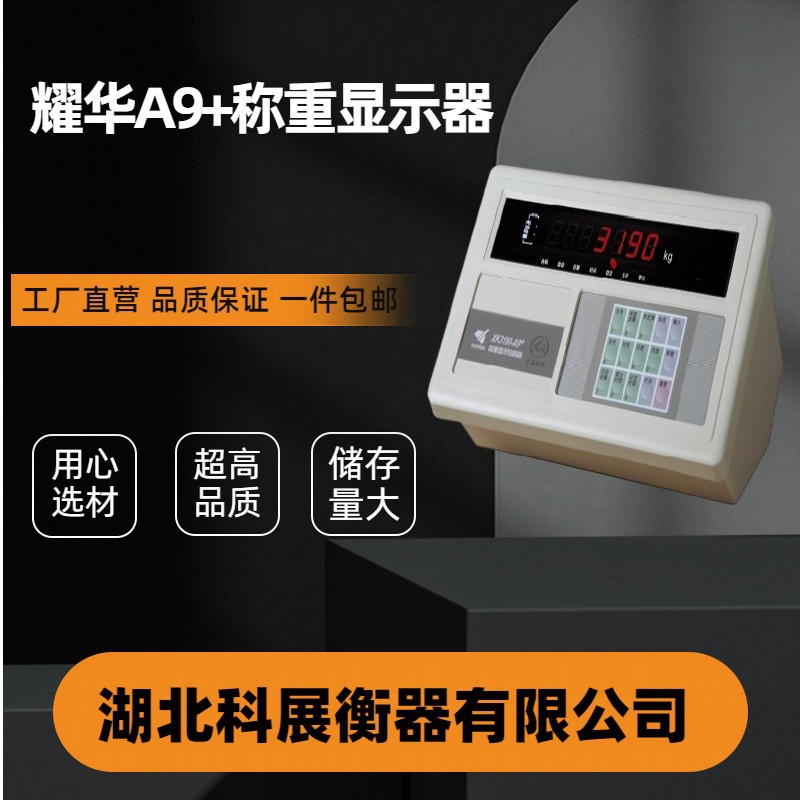 上海A9+称重仪表防作弊称重显示器模拟式显示称重