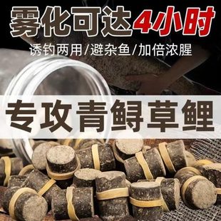 青鱼鲟鱼草鱼鲤鱼挂钩皮筋颗粒黑坑野钓大物巨物浓腥打窝钓鱼饵料