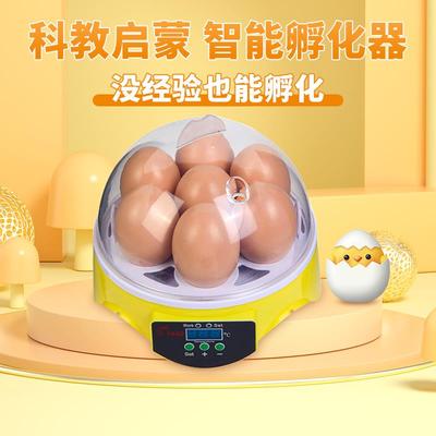 HHD 孵化器小型家用型鸡鸭乌龟鸟蛋孵蛋器自动控温智能孵化机