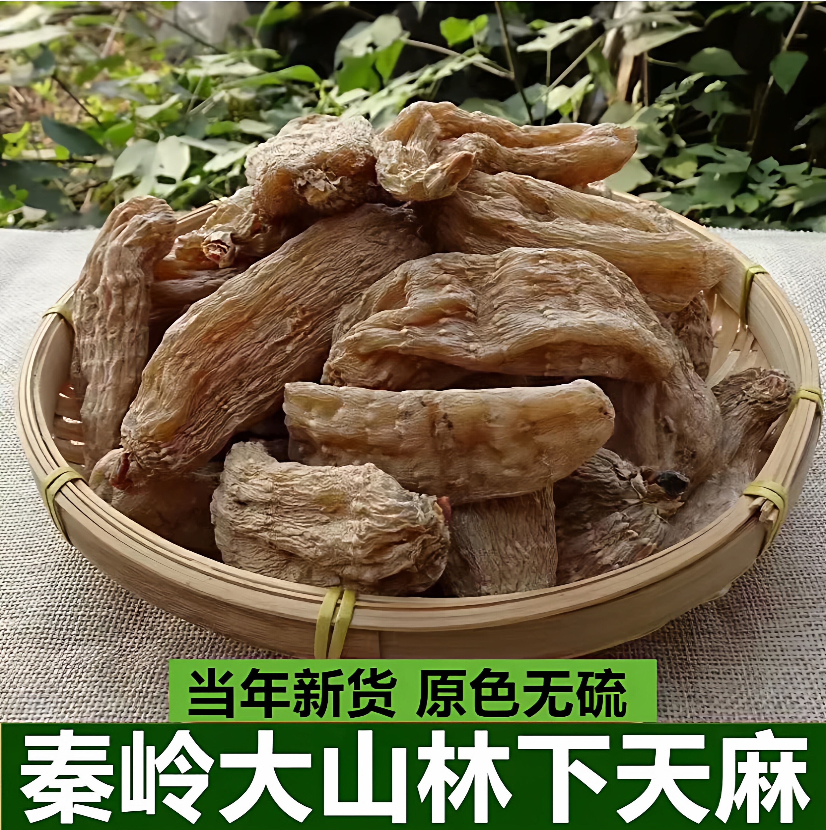 秦岭深山野生非昭通天麻干货天然晾晒中药材茶食用农产品泡水煲汤