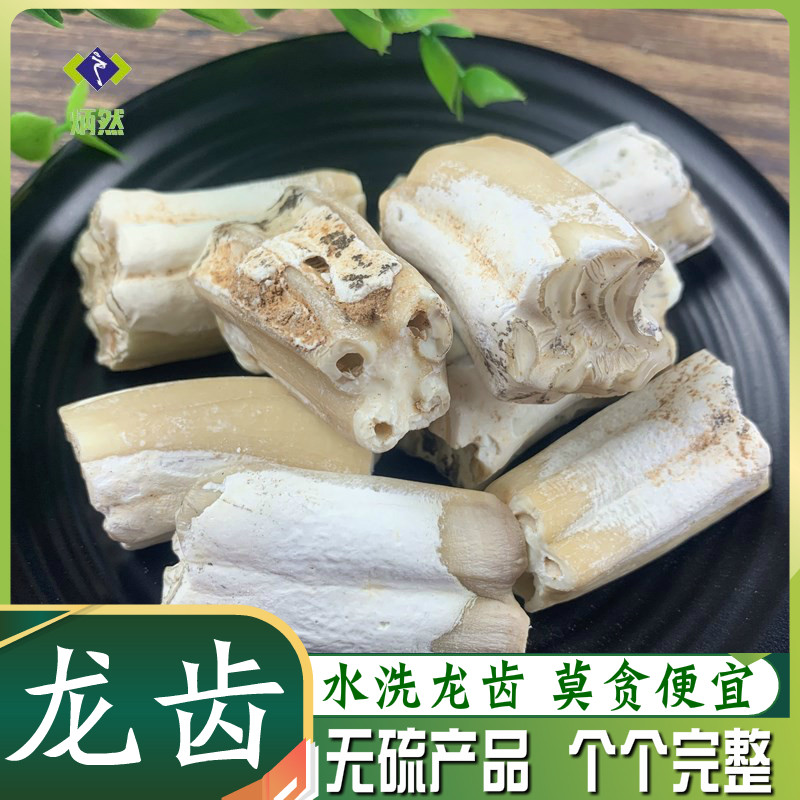 龙齿100克g青龙齿白龙齿龙齿块个牙齿化石无熏硫非免费磨粉中药材
