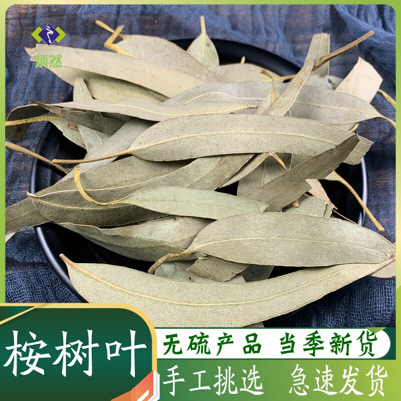 桉树叶500克g橡树叶桉叶蓝桉叶大桉叶非野生中药材免费磨桉树叶粉
