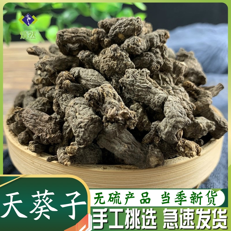 手选大个水洗天葵子中药材