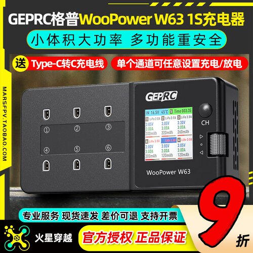 格普WooPowerw631s充电器