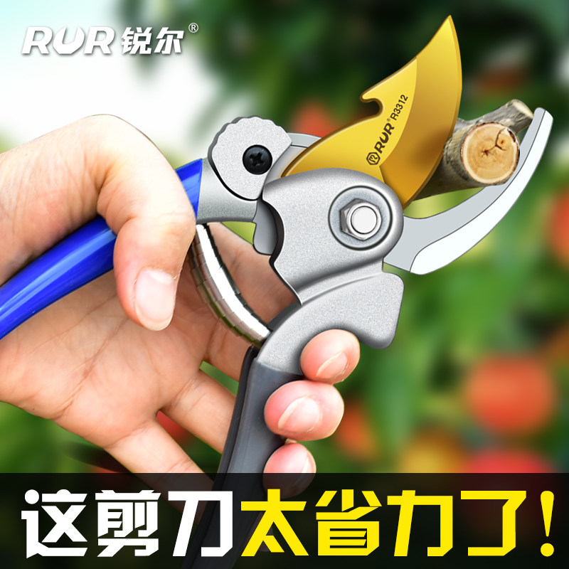 修枝剪园艺剪刀剪树枝专用剪刀