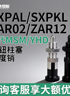 SXPAL/SXPKL8 10 12 16不锈钢细牙旋钮柱塞分度销ZAR02/ZAR12