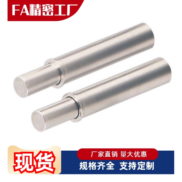 ZAS32 /ZAS31-D2/D3/D4/D5-H1.5/H3/H4/H6/H8/H9 -12小径弹簧柱塞