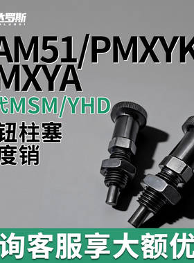 ZAM51旋钮柱塞卡槽分度销PMXYK8M 10M PMXYA8M PMXYA10M PMXYA12M