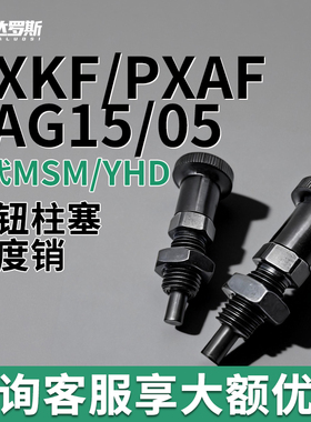 PXKF/PXAF5 6 8 10 12 16复位型旋钮柱塞细牙分度销平头ZAG15/05