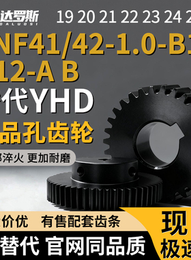 齿轮VNF41/42-1.0-19 20 21 22 23 24 25-B10 B12-A B-P8N P10N
