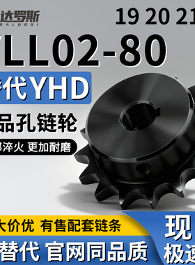 链轮VLL02-80-19 20 21-D25 D28 D30 D32 D35 D38 D40 D45 D48D50
