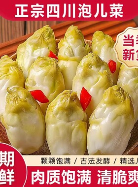 正宗四川泡儿菜泡菜下饭菜新鲜爽口传统地藏土坛泡菜农家酸菜咸菜