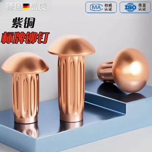 紫铜铆钉 标牌铆钉 GB827滚花铭牌实心半圆头大头铆钉M2M2.5M3M4