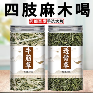 透骨草牛筋草中药材正品旗舰店泡脚的功效与作用新鲜干货牛顿根草