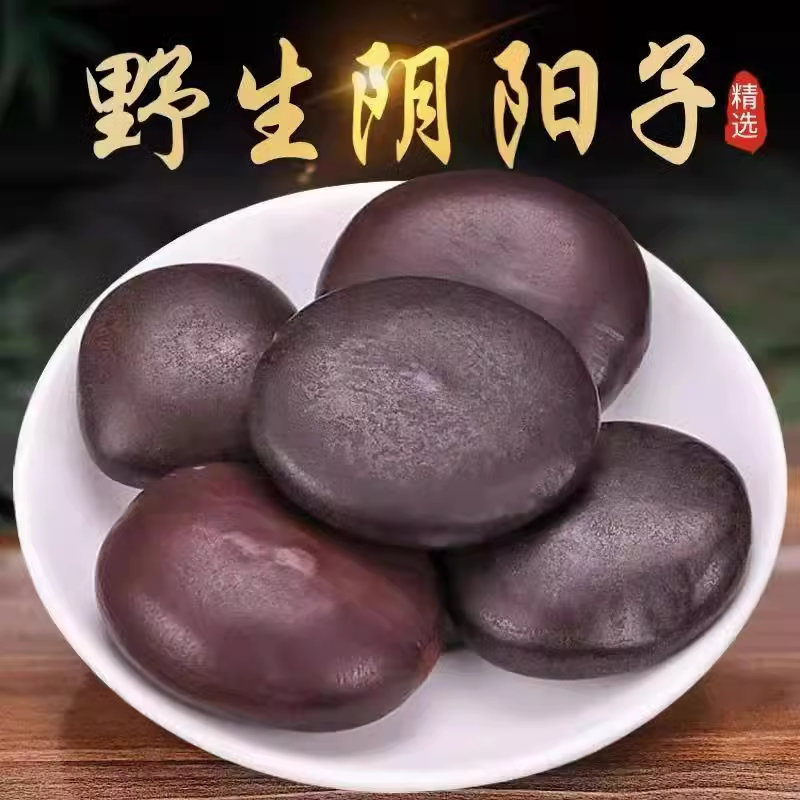 广西野生阴阳子中药材木腰子肾树宝龙凤子泡酒料可搭风流果双肾子