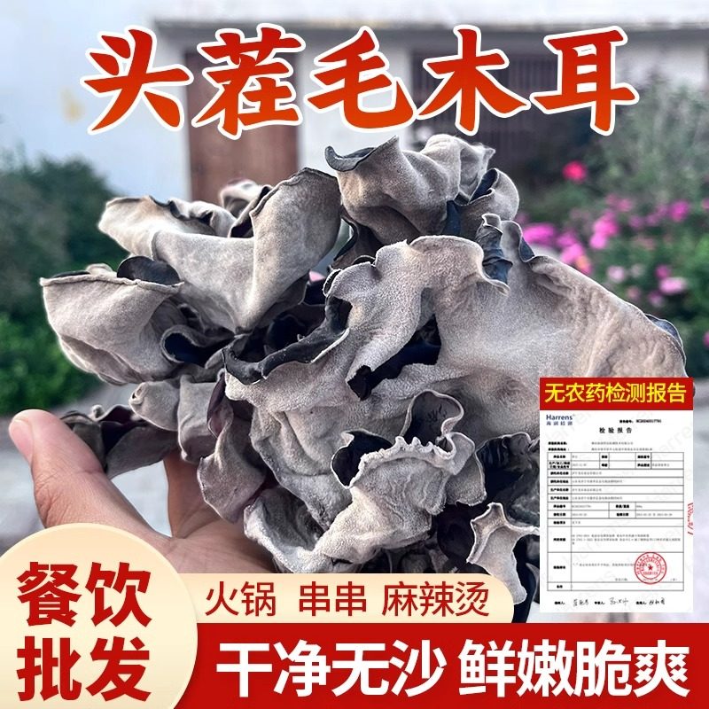 毛木耳干货头茬脆木耳肉厚野生餐饮火锅优质散装无根厚木耳地耳,粮油调味/速食/干货/烘焙,黑木耳,淘宝优惠券,粉丝福利购,淘宝优惠卷