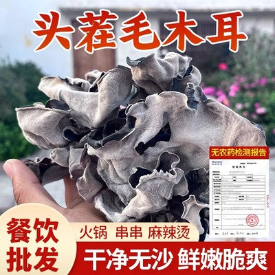毛木耳干货头茬脆木耳肉厚