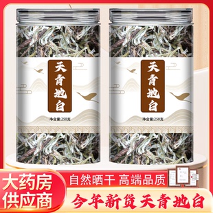野生天青地白草新货青草药材叶下白上青下白金鸡舌细叶鼠曲草
