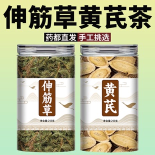 伸筋草黄芪茶中药材正品官方旗舰店正宗特级野生黄氏片泡水喝功效