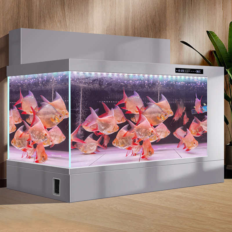 鱼缸水族箱双过滤铝合金锦鲤地缸超白玻璃免换水客厅家用加宽大型