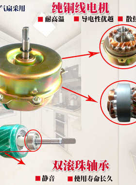 狮强牌S601A厨房油烟排气排风换气扇10寸家用窗式静音强力抽吸机